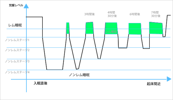 睡眠リズムのイメージ図