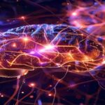 abstract-neural-network-representation-with-glowing-orexin-receptors-in-brain.jpg