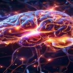 脳内ヒスタミンの「地図」が解明する睡眠と不調の真実――30-50代の次世代メンタルケア hyper-realistic-brain-neural-network-with-glowing-histamine-pathways-scientific.jpg