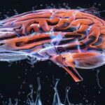 realistic-brain-scanning-image-with-liquid-detox-fluid-flowing-through.jpg