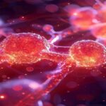 「脳のバリア」を突破する糖衣ナノ粒子の衝撃。膠芽腫生存率50%向上と脳のアンチエイジング最前線 glowing-sugar-coated-nanoparticles-crossing-human-blood-brain-barrier-futuristic-medical-concept.jpg