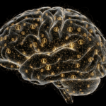 image-12.png