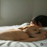realistic-high-quality-photo-of-person-and-dog-sleeping-together-in-a-modern-bedroom-soft-morning-l.jpg
